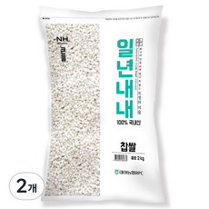 농협 국내산 일년내내 찹쌀, 2kg, 2개