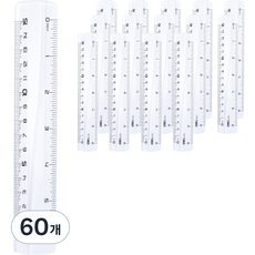 델리 잡기 쉬운 자 15cm, 투명, 60개