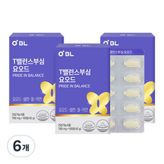 T밸런스부심 요오드 42g, 60정, 6개