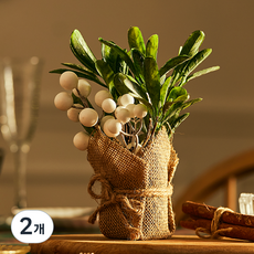 에버그린 조화 화분 베리, 화이트, 52cm, 2개