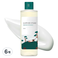 라운드랩 소나무 진정 시카 로션, 250ml, 6개