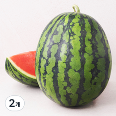 당도선별 수박, 9kg이상, 2개