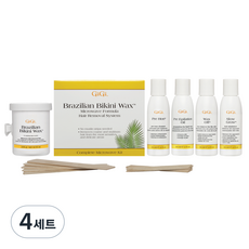 [쿠팡수입] 지지 브라질리언 비키니 왁스 마이크로 키트 세트, 450g, 4세트