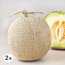 곰곰 머스크 멜론, 1.5kg, 2개