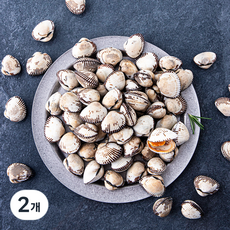 어부심 산지직송 갓 수확한 벌교 생물 새꼬막 (냉장), 1kg(중, 90~110알), 2개