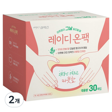 아텍스 레이디 온팩 30p, 2개