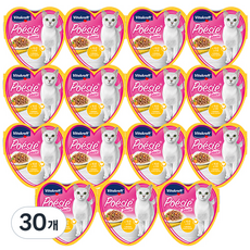 비타크래프트 어덜트 고양이 포에시 하트 주식캔 소스, 혼합맛(치킨/야채), 85g, 30개