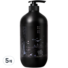 편강율 구전 활력 한방샴푸, 1L, 5개