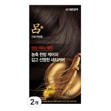 려 진생 한방폼 염색제, 4.0 짙은갈색, 2개