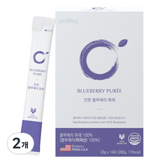 제스티지 진한 블루베리 퓨레 14p, 2개, 280g