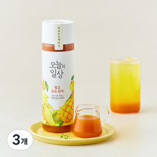 오늘의일상 망고 음료 원액, 3개, 400ml