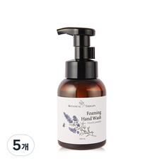 보타니컬테라피 포밍 핸드워시, 프렌치라벤더, 5개, 300ml