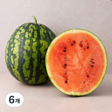 새벽경매 시원달콤한 수박, 3kg 이상, 6개