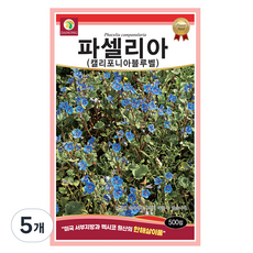 다농 파셀리아 캘리포니아블루벨 씨앗 500p, 5개