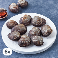 숨비해물 국내산 육즙이 가득한 피꼬막 피조개 (냉장), 6개, 1kg