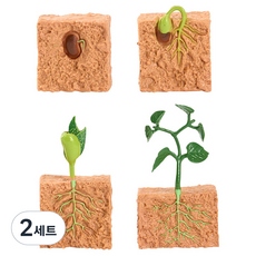 캐스비 네이처 성장 과정 피규어 식물 세트, 2세트