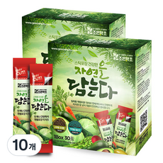 조은약초 자연을 담는다 프리미엄 노니환 스틱, 90g, 10개