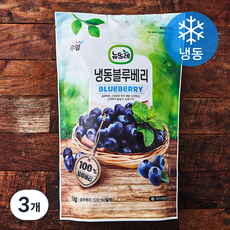 뉴뜨레 칠레산 블루베리 (냉동), 1kg, 3개