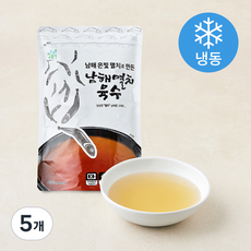 정옥 남해멸치 육수 (냉동), 500g, 5개, 1개입