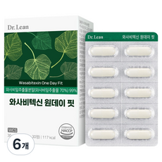 닥터린 와사비텍신 원데이 핏 30g, 30정, 6개