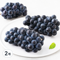 산지직송 아주마 영동 상주산 캠벨포도, 600g(2~3수), 2개