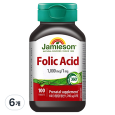 자미에슨 엽산 25g, 100정, 6개