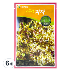 다농 새싹겨자 씨앗 30g, 6개