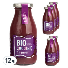 RUDOLFS 유기농 스무디 피스풀 블루베리 딸기, 260ml, 12개