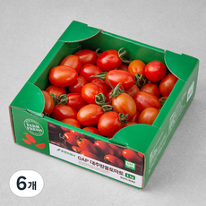 곰곰 GAP 대추방울토마토, 1kg, 6팩