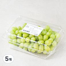 다조은 칠레산 씨없는 청포도, 900g, 5개