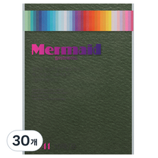 두성 칼라 머메이드지 178g W30 철색 (210 x 297mm), 30개