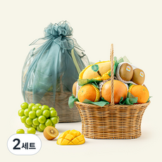 온브릭스 과일바구니 6종 선물세트 중형 1호 2.77kg(고급보자기포함), 2세트
