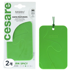 Mr&Mrs FRAGRANCE Cesare 卡片型多功能車用芳香劑, 2個, Warm Spicy