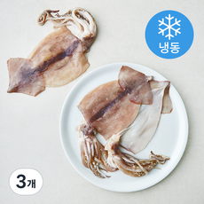 국내산 손질 김씨밥 오징어 중 2~3미 (냉동), 3개, 480g