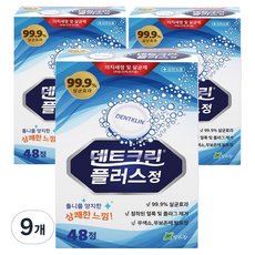 덴트크린 틀니세정제 플러스, 48개입, 9개