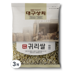 대구상회 국산 귀리쌀, 2kg, 3개