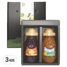 제주앤팜 프리미엄 차 2종 예 선물세트, 3세트, 오미자차 320g + 한라봉차 300g