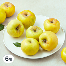 셀렉트팜 A 골드 사과, 1.5kg(소과, 8~9입), 6개