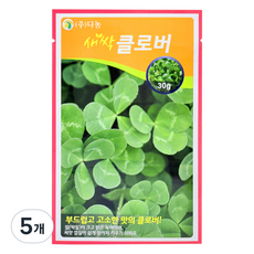 다농 새싹클로버 씨앗 30g, 5개