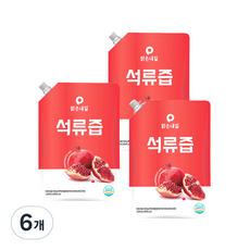 맑은내일 석류즙, 1000ml, 6개