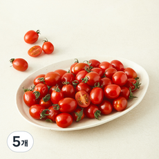 곰곰 친환경 인증 미니 대추 방울 토마토, 5개, 1kg