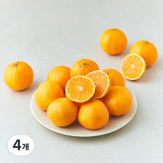 선우마케팅 미국산 만다린, 4개, 1kg