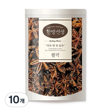 한방선생 팔각, 100g, 10개
