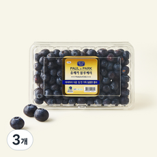 폴앤박 칠레산 유레카 블루베리, 3개, 310g