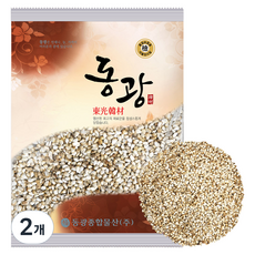 동광한방몰 홍화자 홍화씨, 600g, 2개