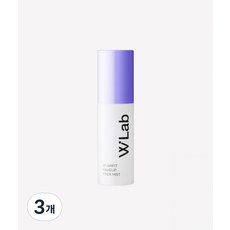 더블유랩 더블유 에어핏 메이크업 픽서 미스트, 50ml, 3개