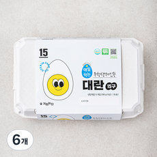 무항생제 인증 계림농장 매일먹는 대란, 6개, 15구