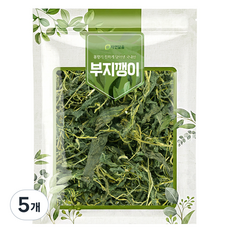 자연닮음 국내산 부지깽이 나물, 5개, 100g