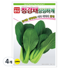 아시아종묘 청경채 싱싱하계 씨앗 2000립, 4개