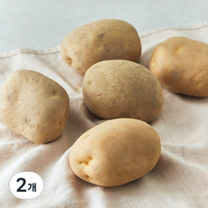 국내산 햇 감자, 2개, 1kg(대)